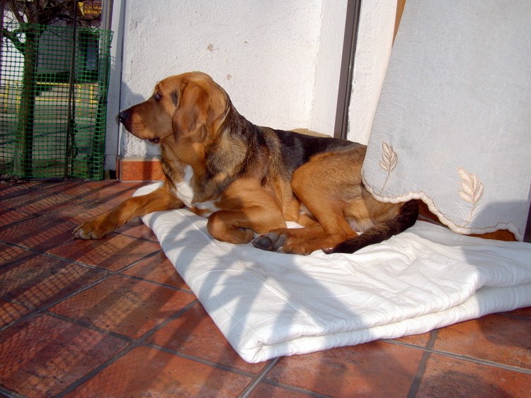 dsc09273resize.jpg