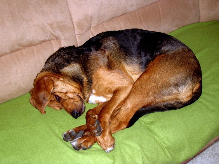 dsc09274resize.jpg