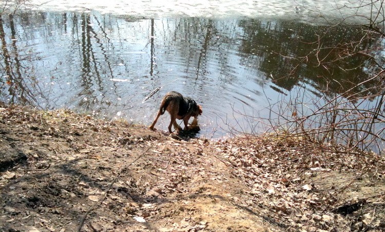 img0341resize.jpg