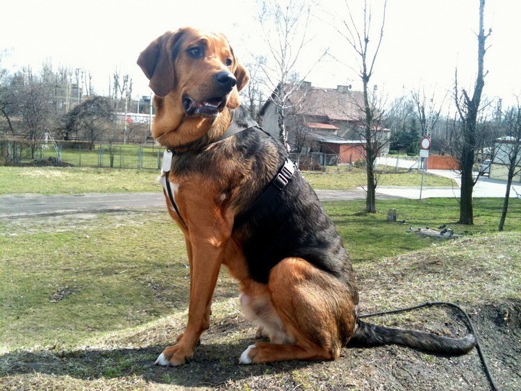 img0384resize.jpg