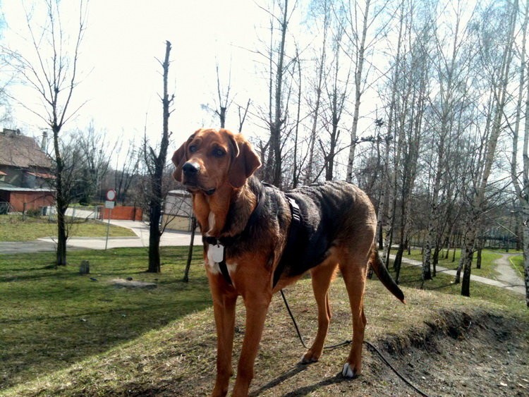 img0375resize.jpg