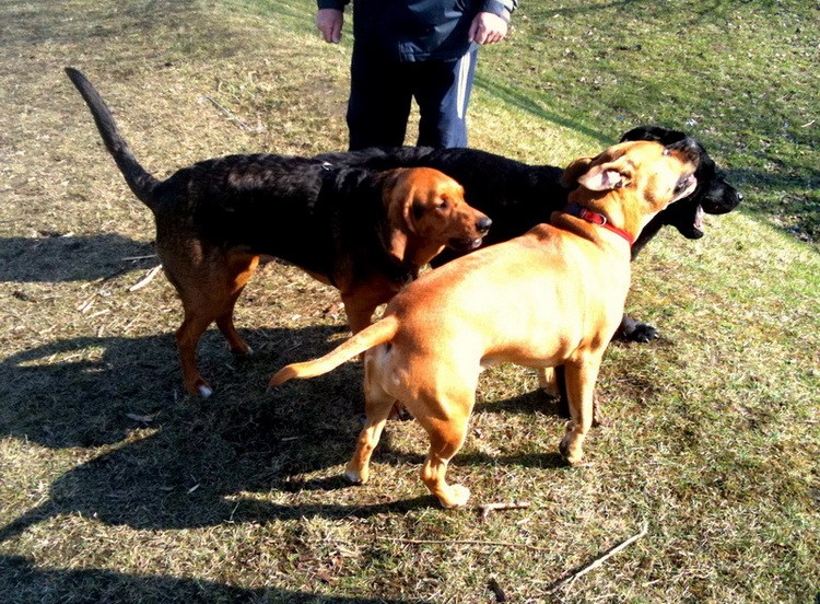 img0158resize_zmień nazwę.jpg