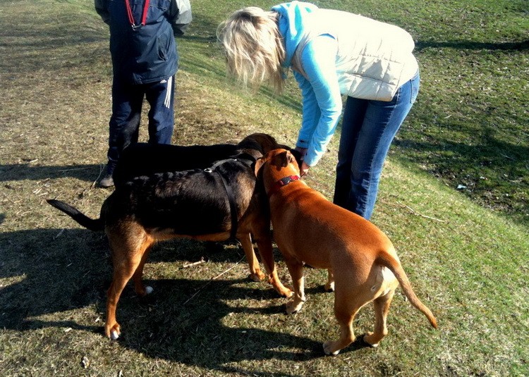 img0153resize_zmień nazwę.jpg