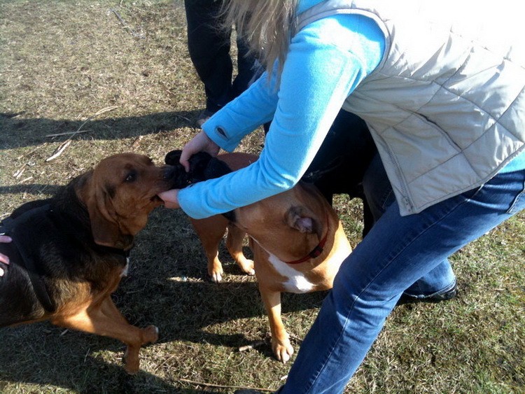 img0156resize_zmień nazwę.jpg
