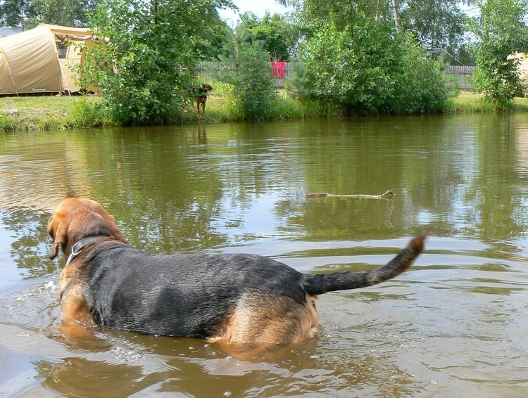 Potem sprawdził jaka jest woda w stawie