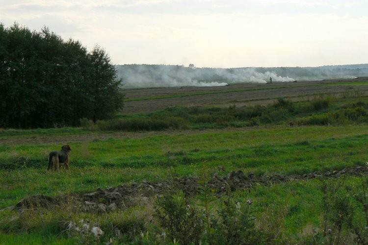 Jesienne prace polowe…