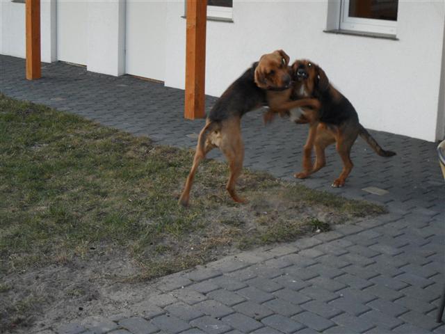 Bardziej ekscytujące.JPG