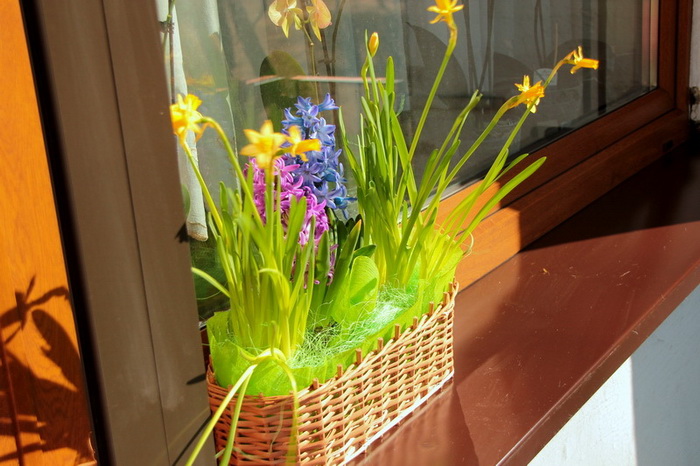 img2270zmienazw_zmień nazwę.jpg