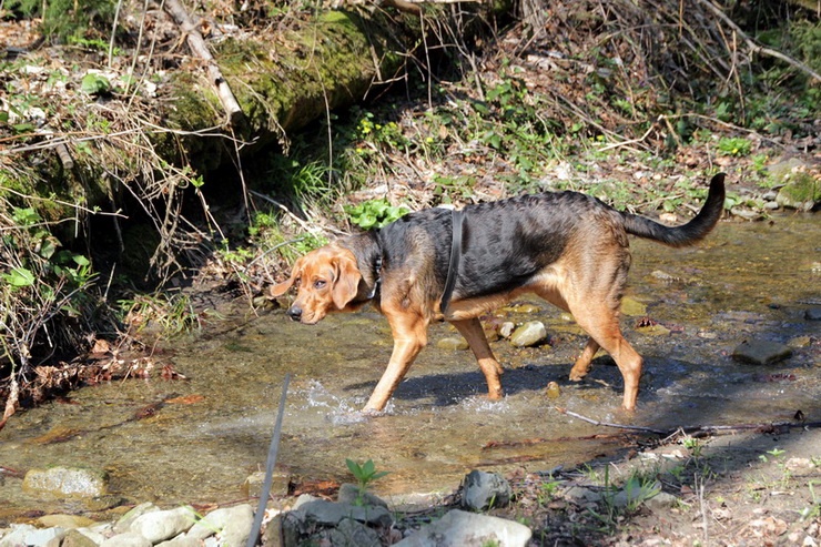 img1616resize_zmień nazwę.jpg