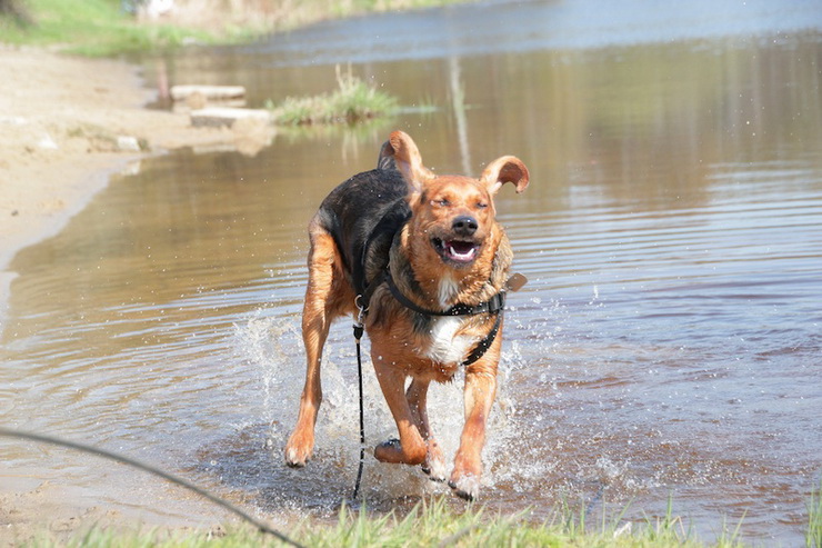 img1274g_zmień nazwę.jpg
