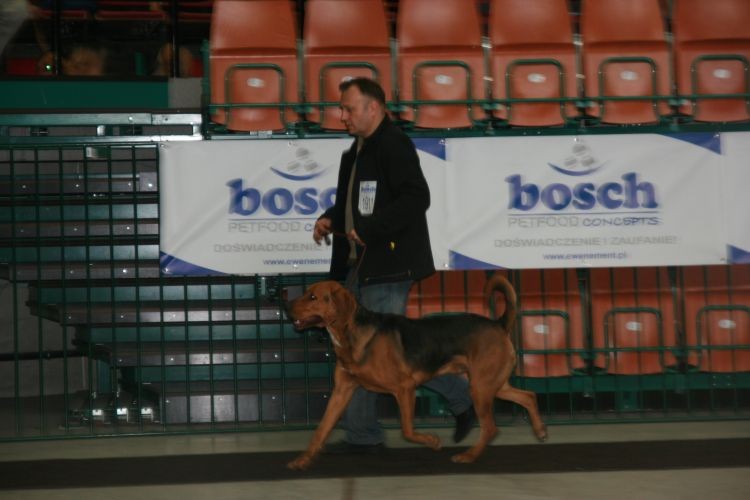 egipt 2012 037.jpg