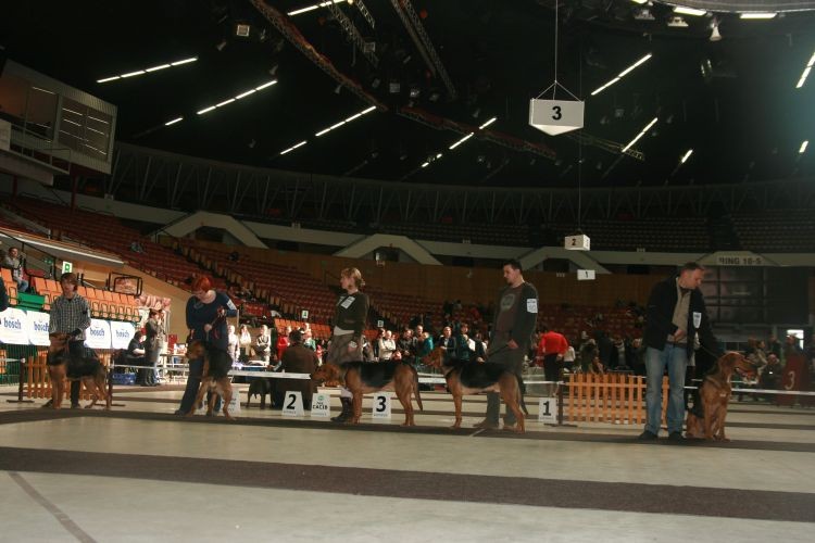 egipt 2012 041.jpg