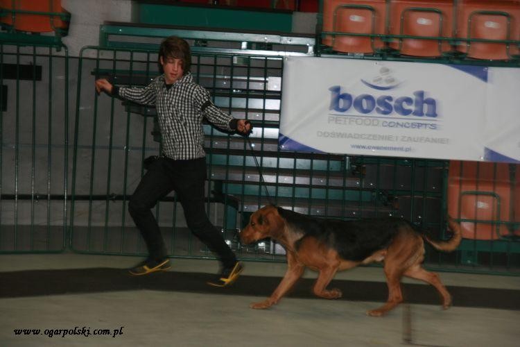 egipt 2012 046.jpg