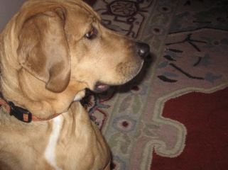 7132497_600.jpg