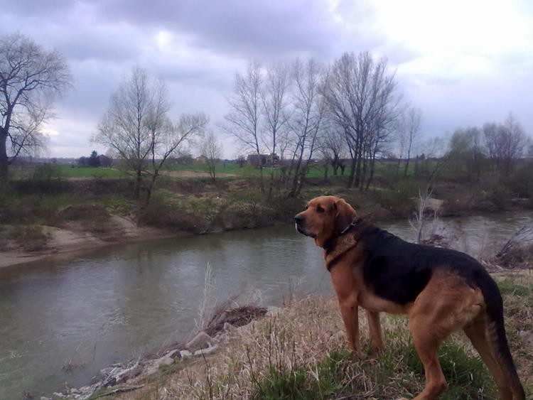 Pańcia wracamy, bo nas niewąsko przemoczy!