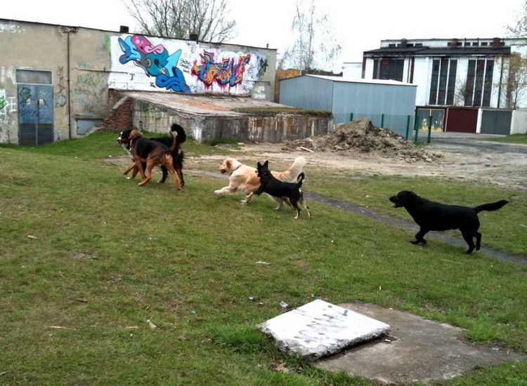 img0408f_zmień nazwę.jpg