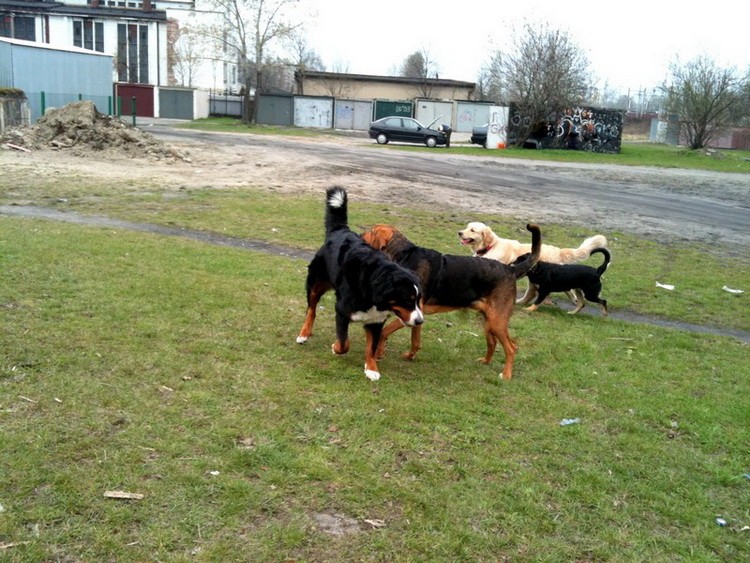 img0411et_zmień nazwę.jpg
