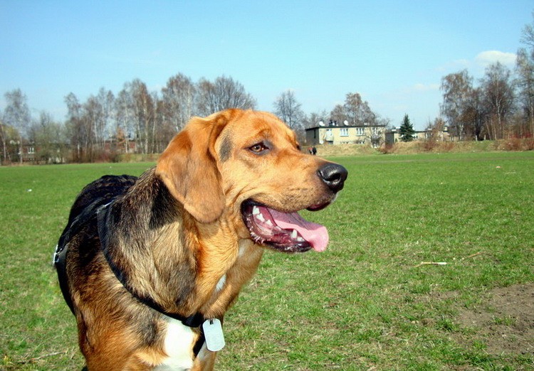 dsc09593resize_zmień nazwę.jpg