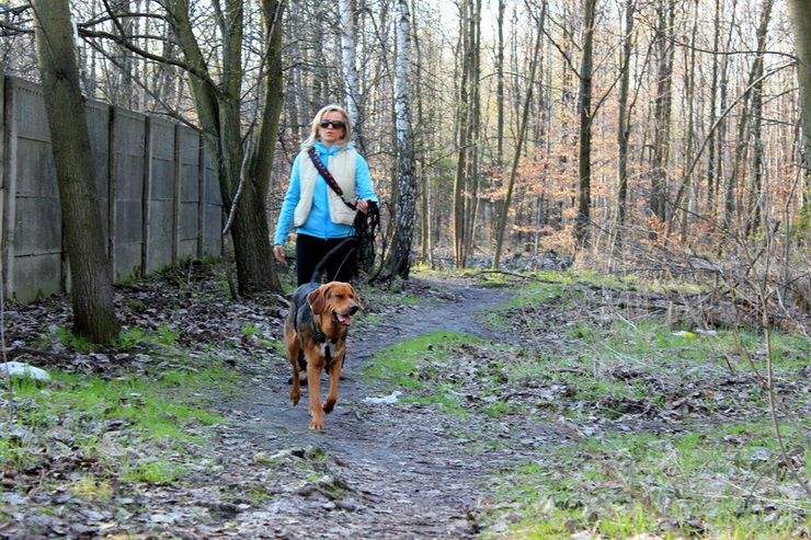 img0044resize_zmień nazwę.jpg