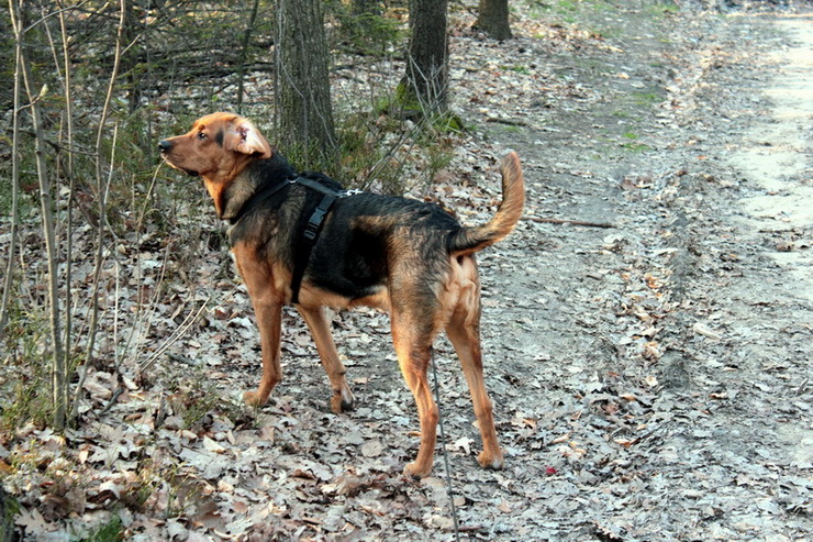 img0070resizes_zmień nazwę.jpg