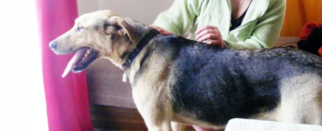 Oskar w DS 27 marzec 2012.JPG