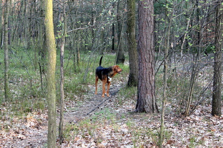 img0089resize_zmień nazwę.jpg