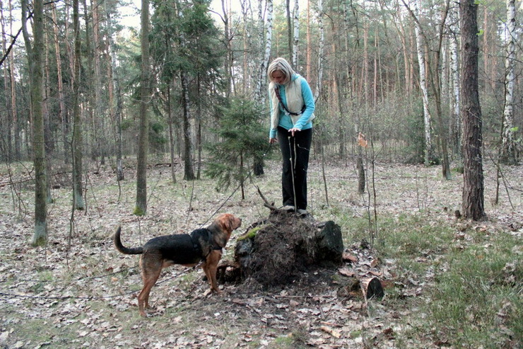 img0154resize_zmień nazwę.jpg