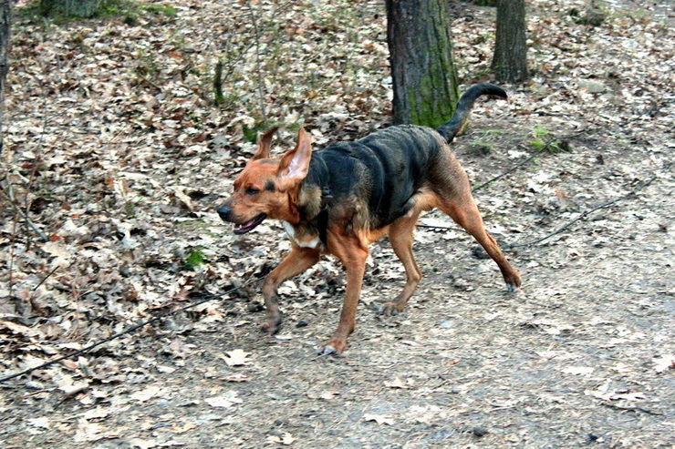 img0147resize_zmień nazwę.jpg