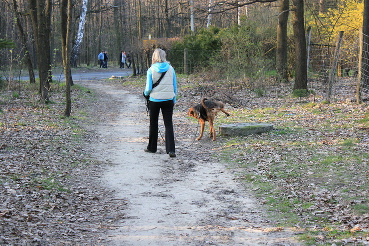 img0092resize_zmień nazwę.jpg