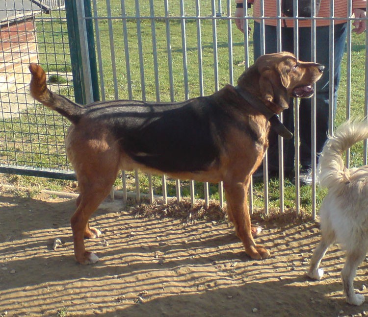 DSC00835.jpg