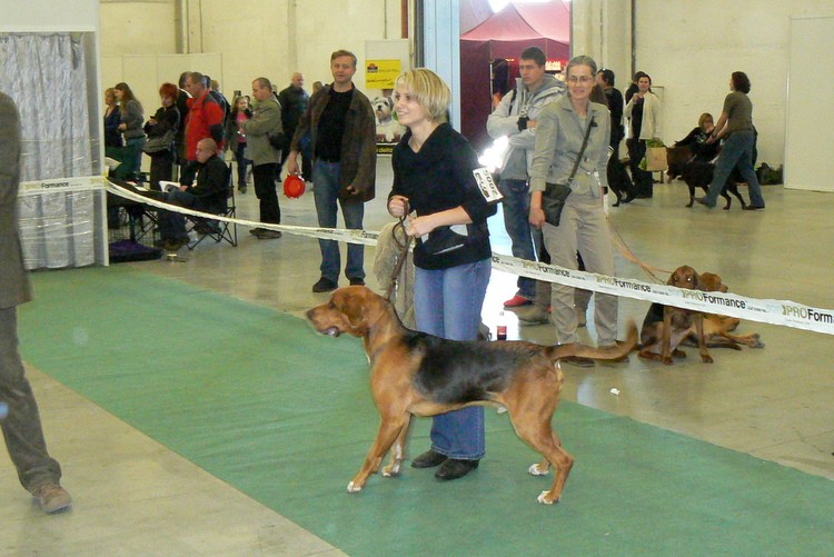 Aga i ŁYCAR