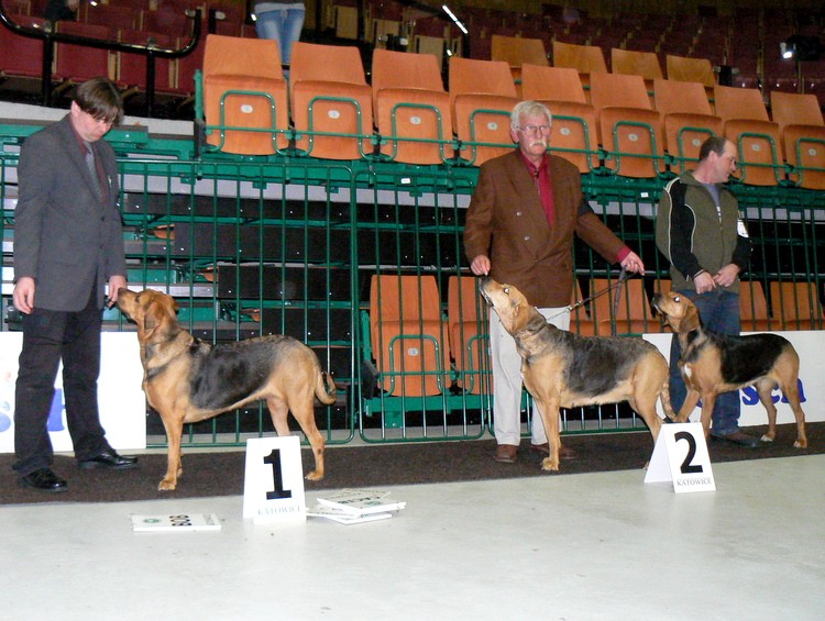 lokaty championek: LUŚNIA z Gończaków, ŻYWIA z Gończaków, DIUNA z Lianówki …