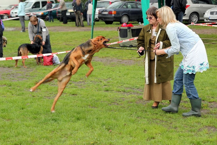 img2003resize_zmień nazwę.jpg