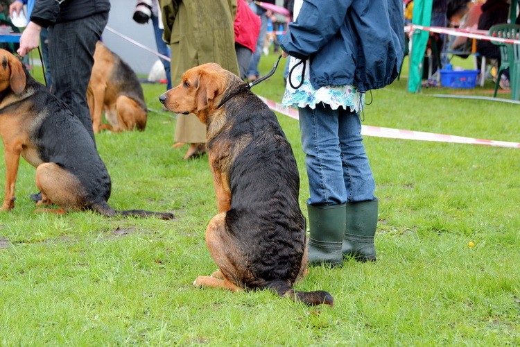img1948resize_zmień nazwę.jpg