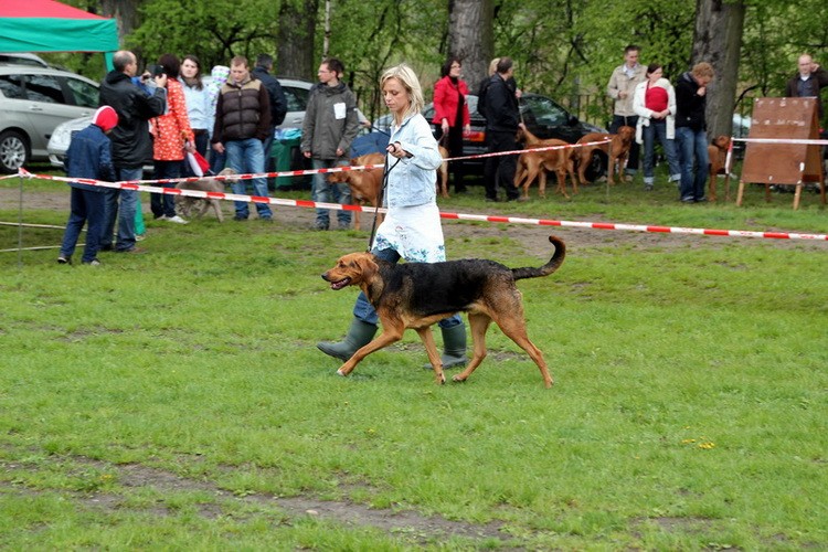img2007resize_zmień nazwę.jpg