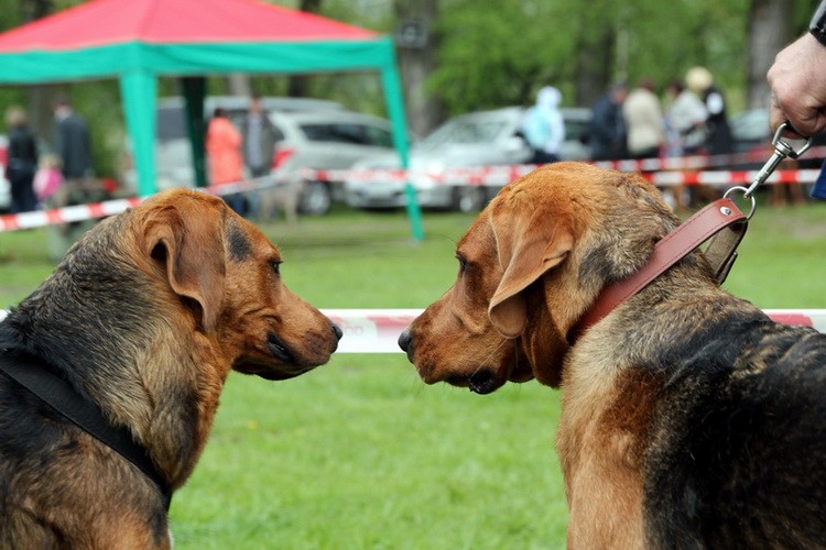 img2065resize_zmień nazwę.jpg