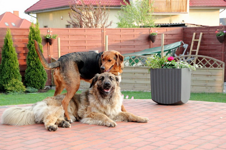 img2317resize_zmień nazwę.jpg