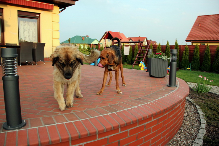 img2321resize_zmień nazwę.jpg