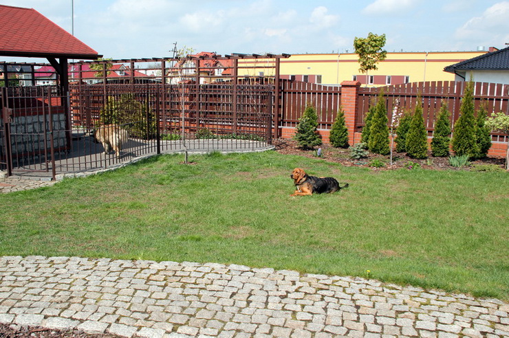 img2791resize_zmień nazwę.jpg