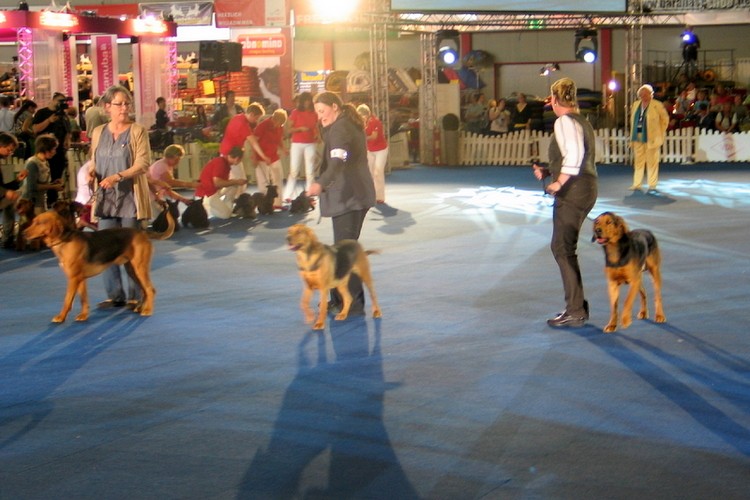 218_1858.JPG
