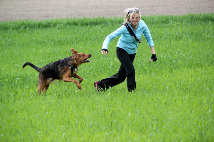 img2861resize_zmień nazwę.jpg