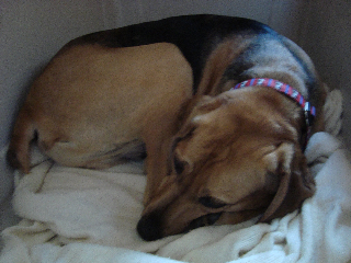 DSC02833.jpg