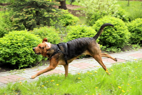 img3335resize_zmień nazwę.jpg
