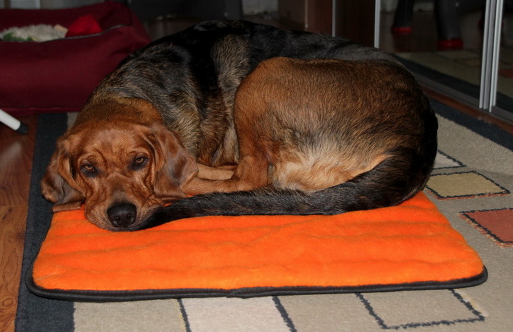 img3418resize_zmień nazwę.jpg