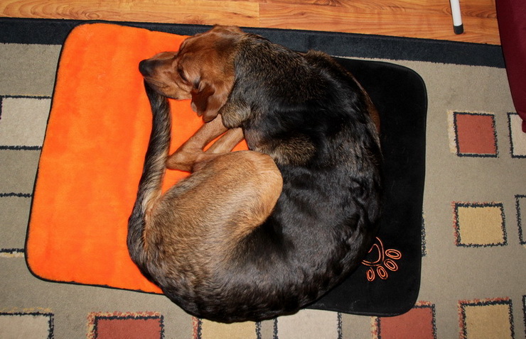 img3419resize_zmień nazwę.jpg