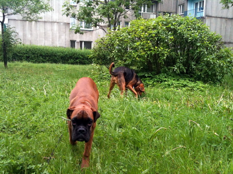 img0503resize_zmień nazwę.jpg