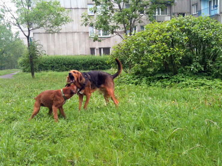 img0505resize_zmień nazwę.jpg