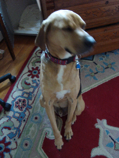 DSC02834.jpg