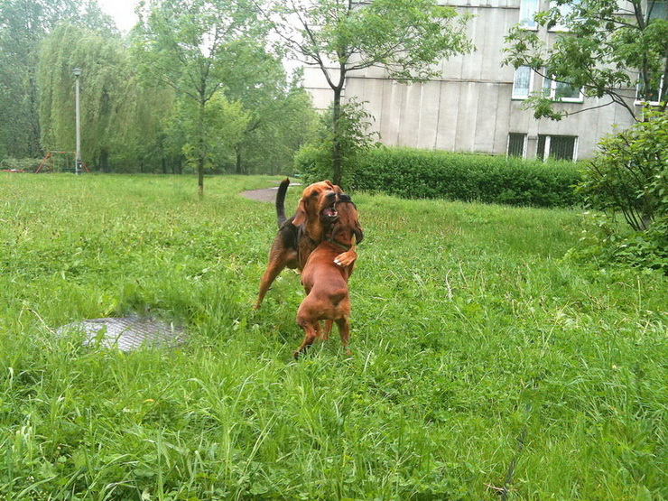 img0511resize_zmień nazwę.jpg