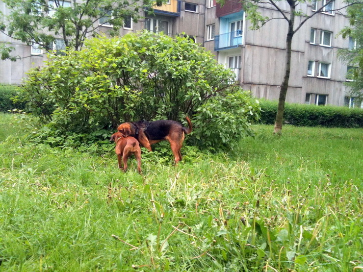 img0520resize_zmień nazwę.jpg